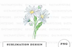 Watercolor Daisy Flowers Bouquet png Product Image 1