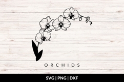 Flowering Orchid Stem SVG Product Image 1