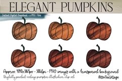 Elegant Pumpkins, 6 PNG Pumpkins, 300dpi Product Image 1