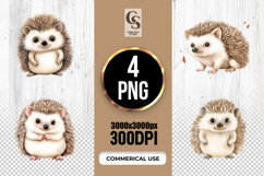 Watercolor Cute Hedgehog Clipart Sublimation PNG Product Image 1