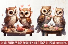 Couple Owl Valentines Day Clipart, Couple Owl Clipart Product Image 1