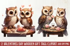 Couple Owl Valentines Day Clipart, Couple Owl Clipart Product Image 1