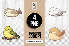 Sleeping Baby Bird Clipart Sublimation PNG Product Image 1