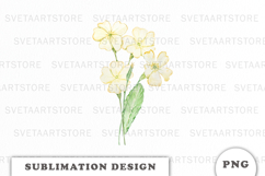 Watercolor Primrose Flowers Bouquet png Product Image 1
