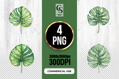 Watercolor Monstera Leaf Clipart Sublimation PNG Product Image 1
