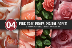 Pink Rose Drops Digital Paper Product Image 1
