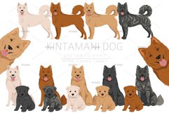 Kintamani Bali dog clipart Product Image 1