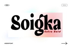 Soigka Display Product Image 1