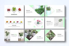Gradenia - Google Slides Template Product Image 2
