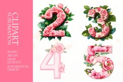 Floral numbers clipart sublimation Product Image 1