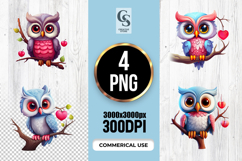 Cute Owl With Heart Clipart Sublimation PNG Product Image 1
