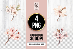 Cherry Blossom Flower Watercolor Clipart Sublimation PNG Product Image 1