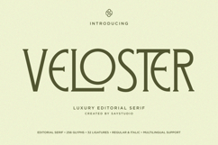 Veloster - Logo Serif Branding Font Product Image 1