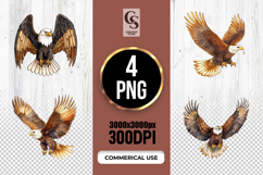Majestic Bald Eagle Illustration Clipart Sublimation PNG Product Image 1