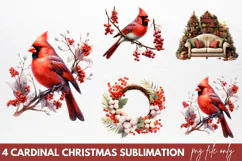 Christmas Cardinal Watercolor Clipart PNG Product Image 1