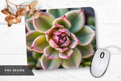 Succulent Heart Mouse Pad PNG Design Product Image 1