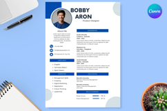 13 Blue White Resume CV - Canva Product Image 1