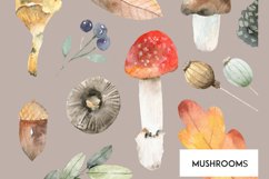 Mushroom illustrations Watercolor fall clipart Hello autumn Product Image 1