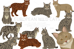 European wild cats clipart Product Image 1