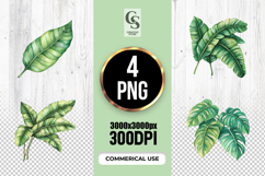 Tropical Banana &amp; Monstera Leaf Clipart Sublimation PNG Product Image 1