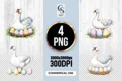 Watercolor Floral Heart Goose Clipart Sublimation PNG Product Image 1