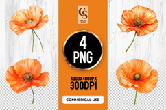 Orange Poppy Flower Clipart Sublimation PNG Product Image 1