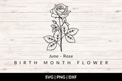 June Birth Flower Bouquet SVG - Rose Product Image 1