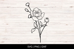 Hand Drawn Peonies Bouquet SVG Product Image 1