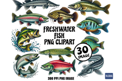 Freshwater Fish PNG Bundle Product Image 1
