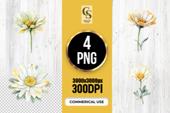 Watercolor Daisy Flower Clipart Sublimation PNG Product Image 1