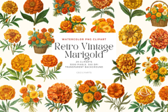 Watercolor Retro Vintage Marigold Cliparts Bundle Product Image 1