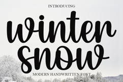 Winter Snow Product Image 1