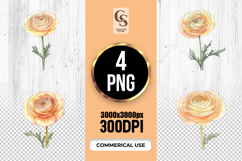 Watercolor Ranunculus Flower Clipart Sublimation PNG Product Image 1