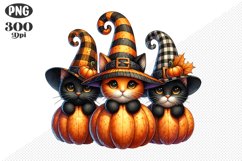 Halloween Cat And Pumpkin Sublimation - Clipart PNG Design Product Image 1