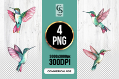 Colorful Hummingbird Flying Illustration Clipart Sublimation Product Image 1