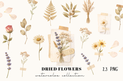 Dried Flowers Watercolor Collection Product Image 1