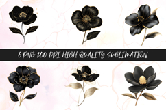 Luxury black and gold mandala flower collection clipart Product Image 1