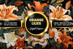 Orange Lilies Digital Papers - 03 Variations Product Image 1