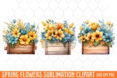 Spring Flowers Clipart, Flowers Sublimation Designs Product Image 1
