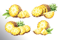Tropical Pineapple Product Image 2