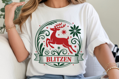 Reindeer Names SVG Designs Bundle Product Image 2