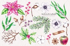 Watercolor Winter plants clipart PNG Product Image 2