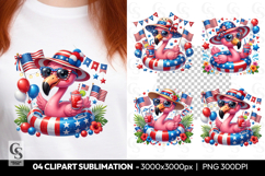 Patriotic Flamingo Clipart PNG Product Image 1