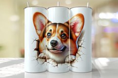 Pembroke Welsh Corgi Peeking from the Cracked wall Tumbler W Product Image 1