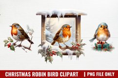 Watercolor Christmas Robin Bird Clipart Product Image 1