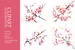 Watercolor cherry blossom clipart sublimation png Product Image 1