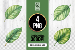 Green Tropical Leaf Clipart Sublimation PNG Product Image 1