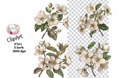 Flowers, Clipart, Ephemera, PNG, Junk journal Product Image 1