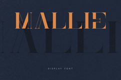 Mallie Elegant Modern Serif Display Font Product Image 1