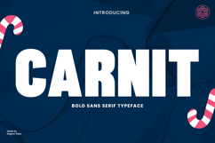 Carnit Bold Playful Sans Serif Font Product Image 1